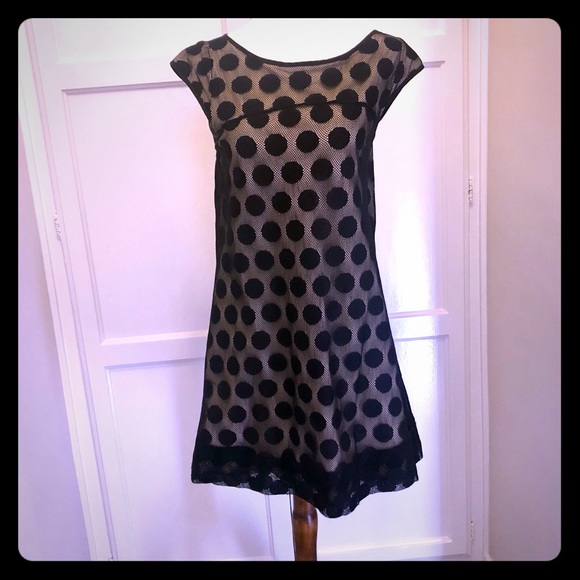 Weston Wear Dresses & Skirts - Polka Dot Lace Dress - Weston Wear
